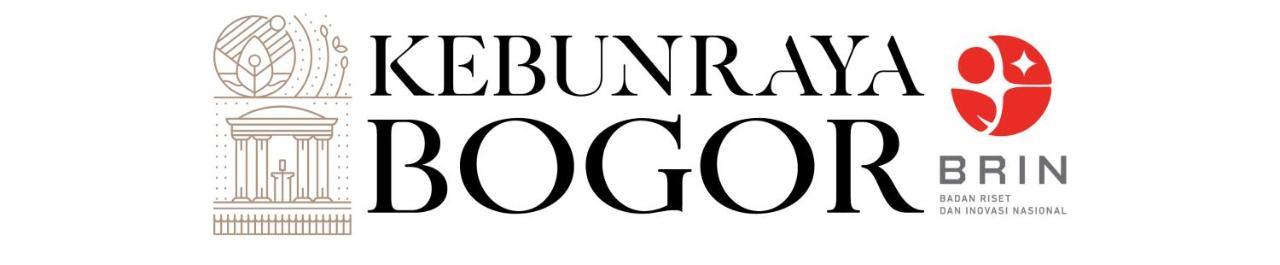 Rb Bogorienze The Jungle